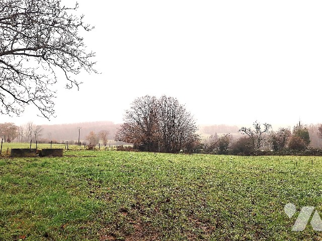Terrain — Parfondeval