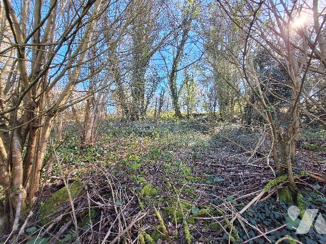 Terrain — Étréaupont
