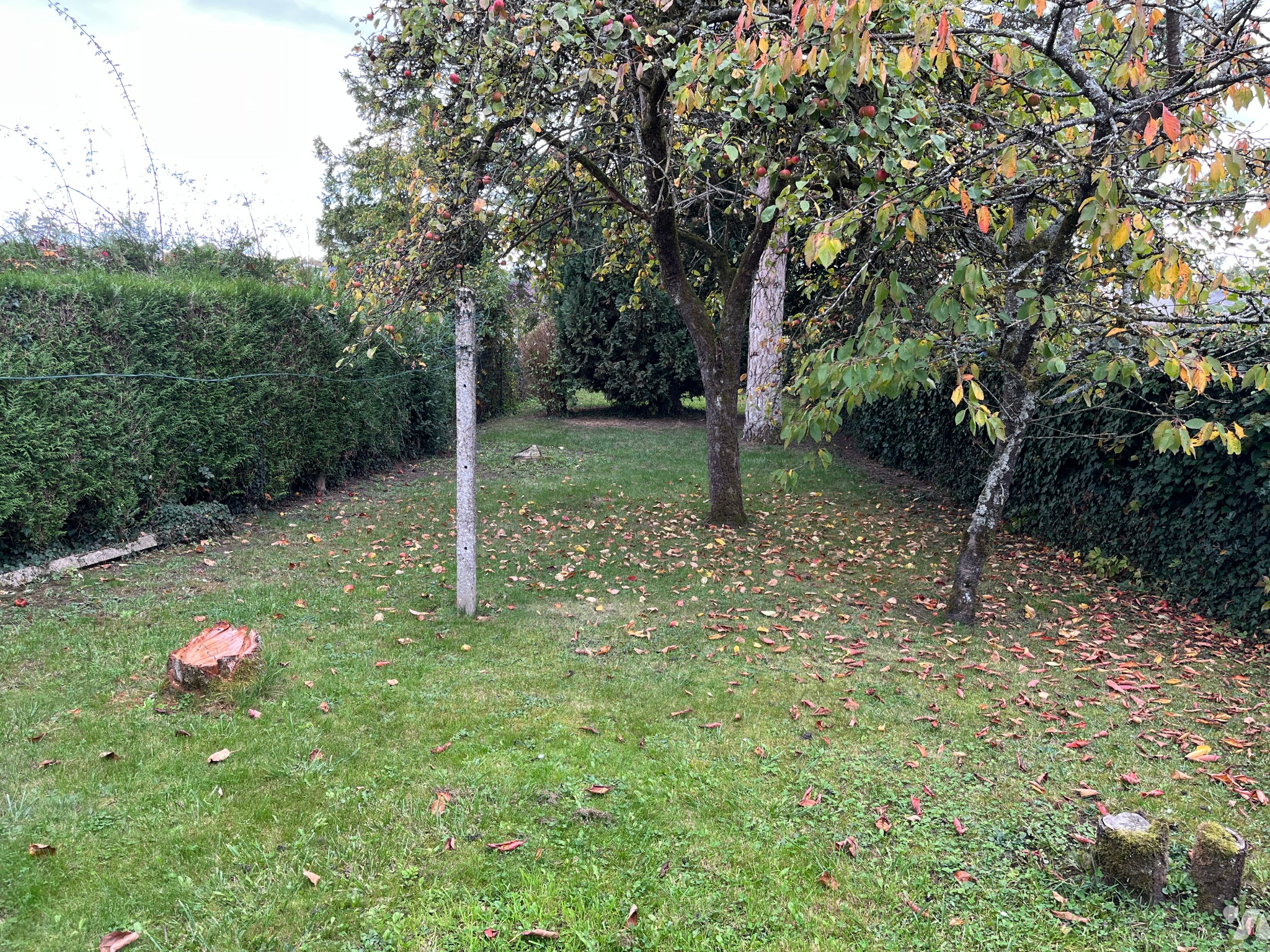 VENTE maison-LE NOUVION EN THIERACHE (02)