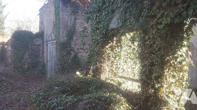 TER 4792m²