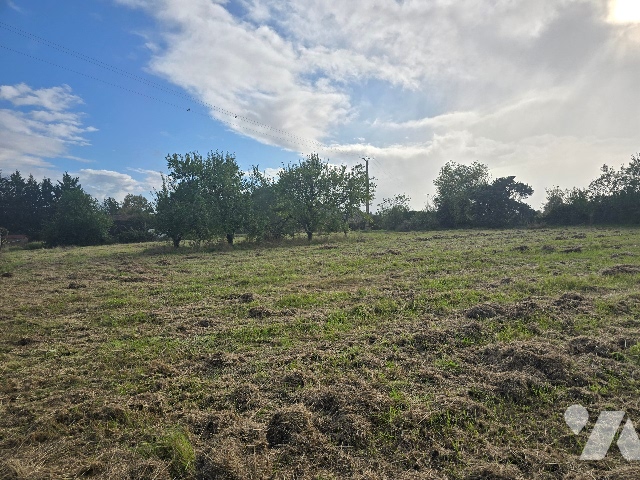 TER 4399m²