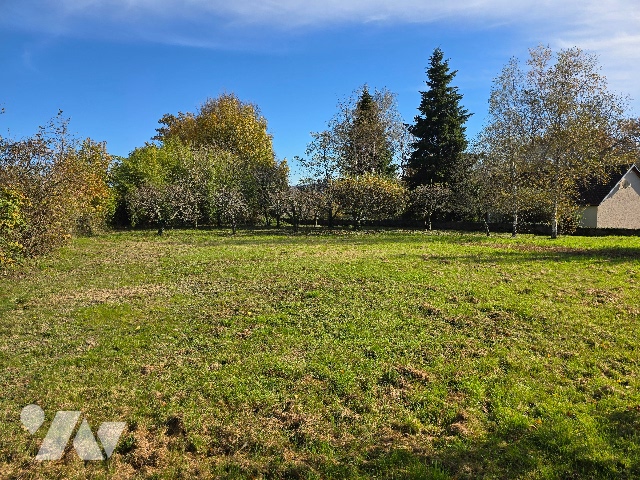 TER 1268m²