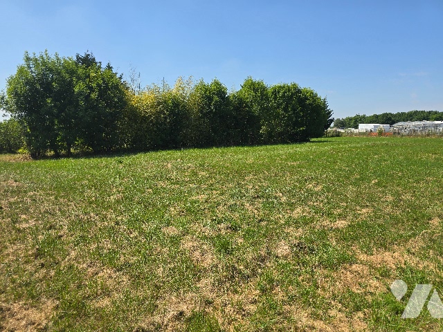 TER 1999m²