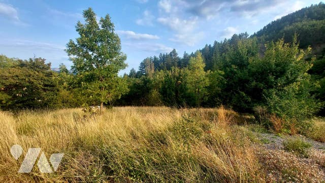 Vente - Terrain - SERRES - 1 794 m² - 050820251