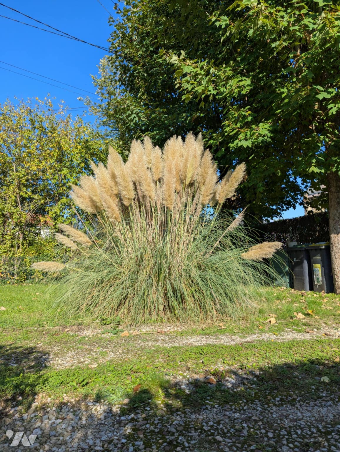 VENTE maison-SEDAN (08)