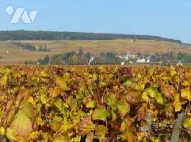 Vig Riceys · à Les Riceys · 248 800 €