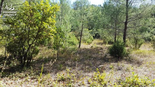 Vente aux Enchères - Terrain agricole - Néoules - 4340.00m² - Ref : 190306vae002/2