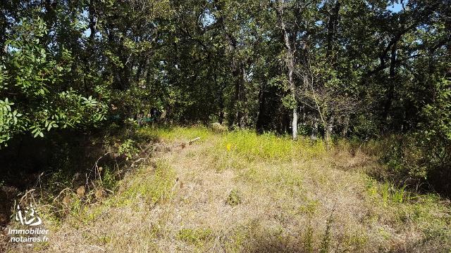 Vente aux Enchères - Terrain agricole - Néoules - 4003.00m² - Ref : 190306vae002/3