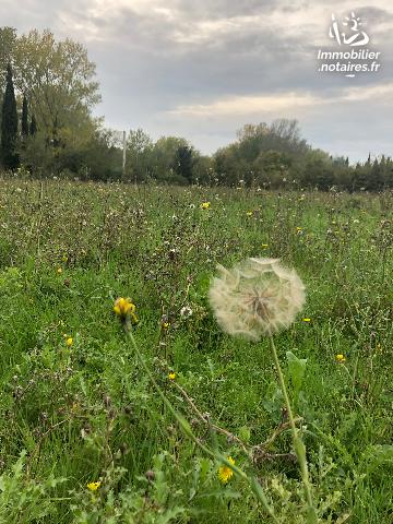 Vente - Terrain agricole - Orgon - 7178.00m² - Ref : 385