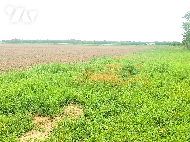 Terrain 1800 m² · à Lechâtelet · 1 800 m² · 45 000 €