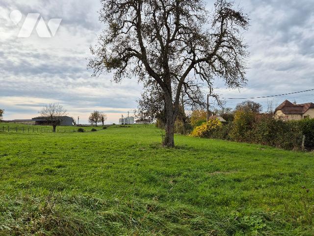 Terrain 1000 m² · à Chaumercenne · 1 000 m² · 35 000 €