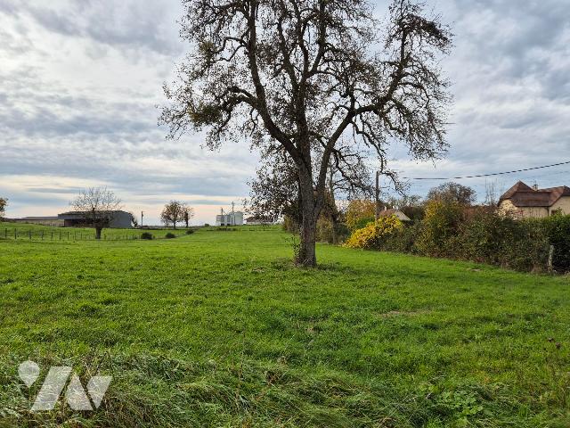 Terrain 7064 m² · à Chaumercenne · 7 064 m² · 247 000 €