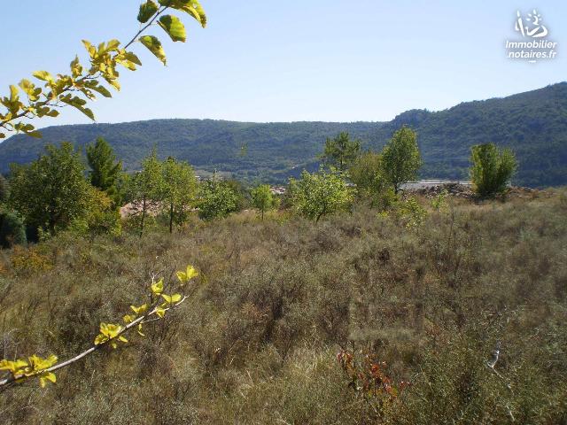 Vente - Terrain agricole - Saint-Julien-en-Saint-Alban - 2353.00m² - Ref : PR314K