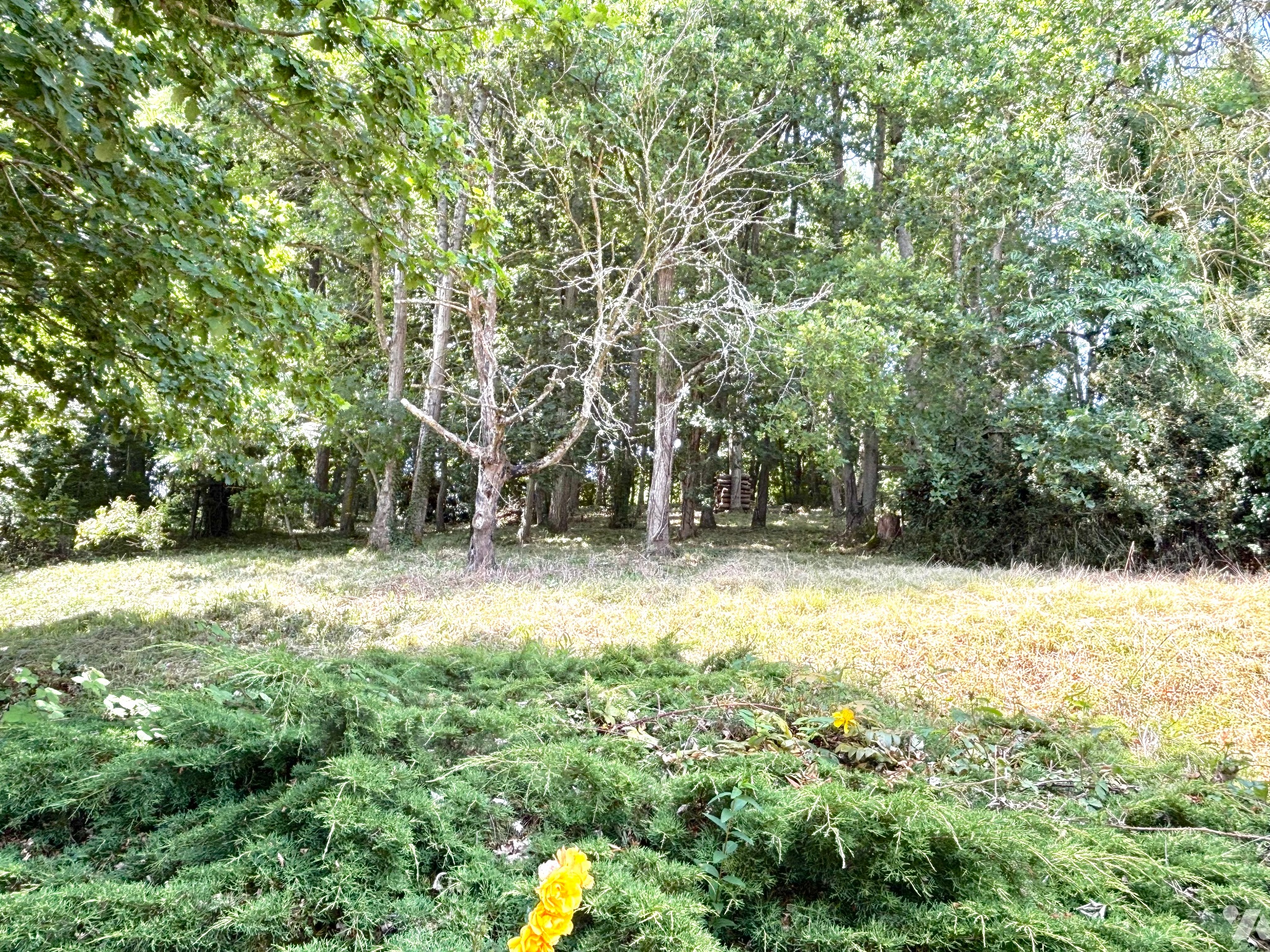 VENTE maison-JOUY (28)