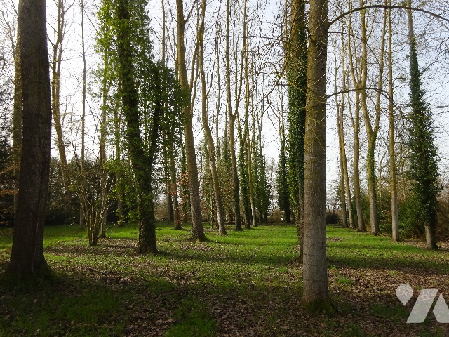Terrain — Nogent-le-Rotrou