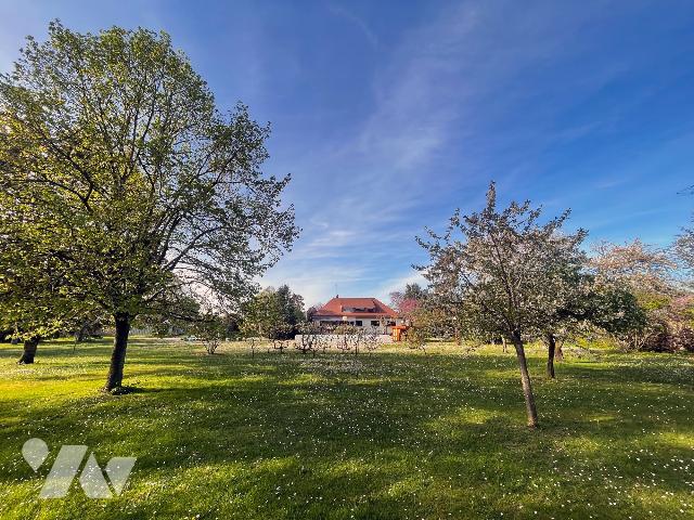 Maison 7 pièces 224 m² · à Orgères-en-Beauce · 224 m² · 471 500 €