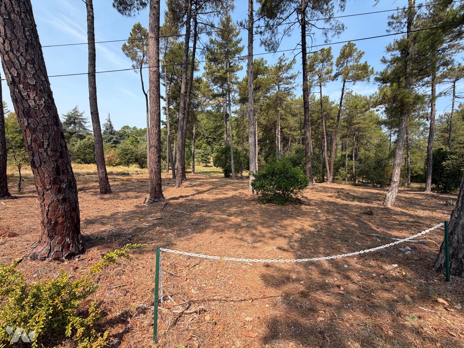 Terrain 3973 m² · à Bordezac · 3 973 m² · 56 000 €