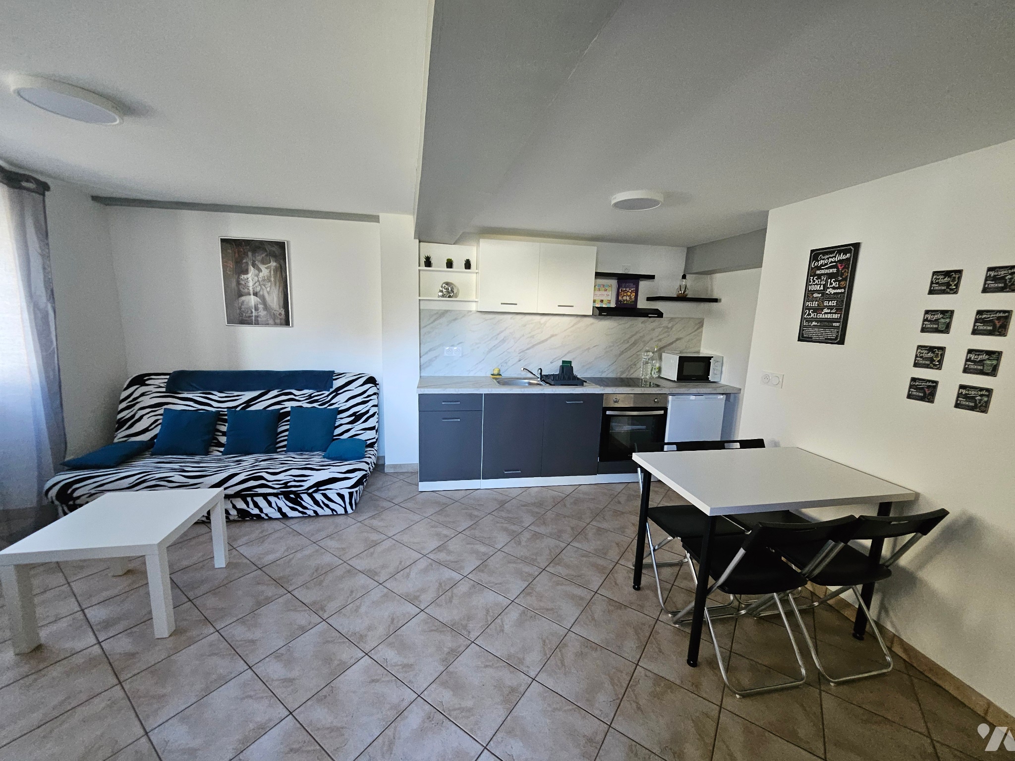VENTE immeuble-CAZERES (31)