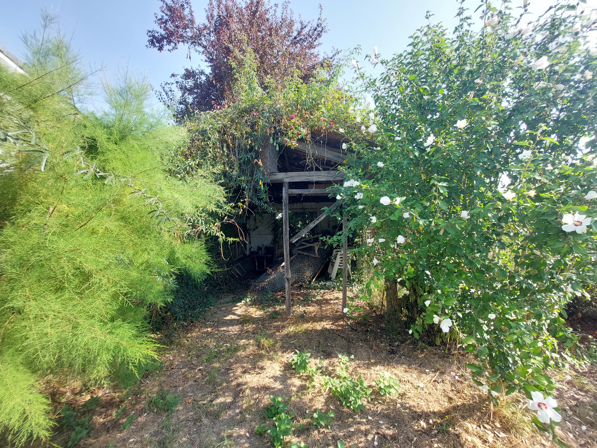 VENTE maison-ST GAUDENS (31)