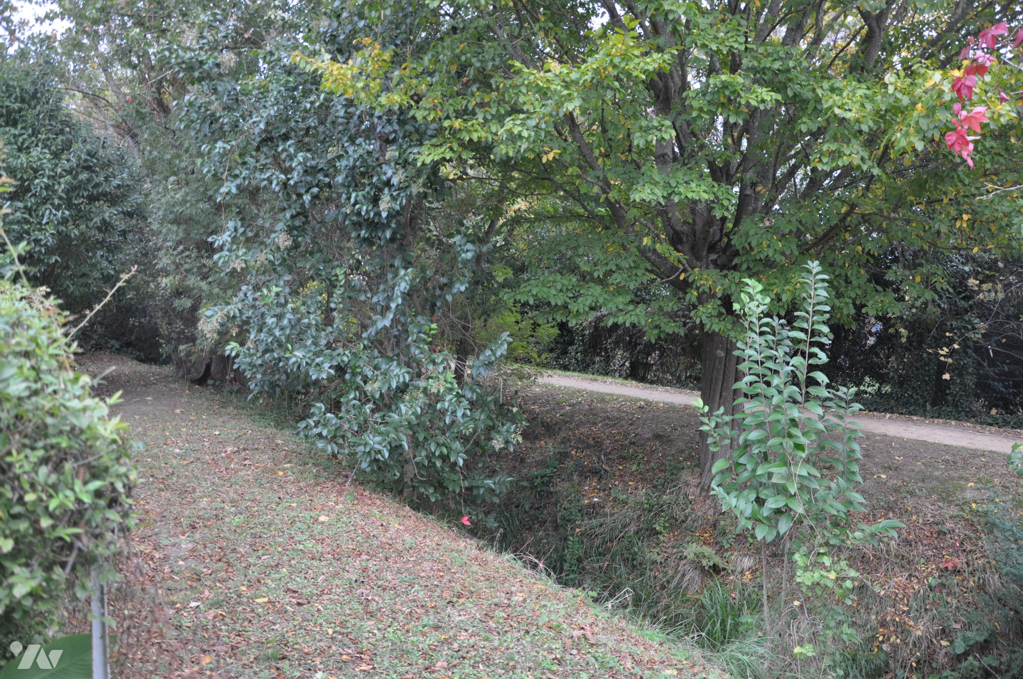 VENTE maison-QUINT FONSEGRIVES (31)