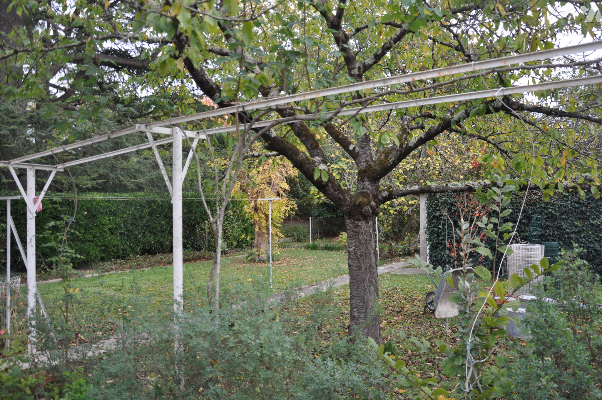 VENTE maison-QUINT FONSEGRIVES (31)