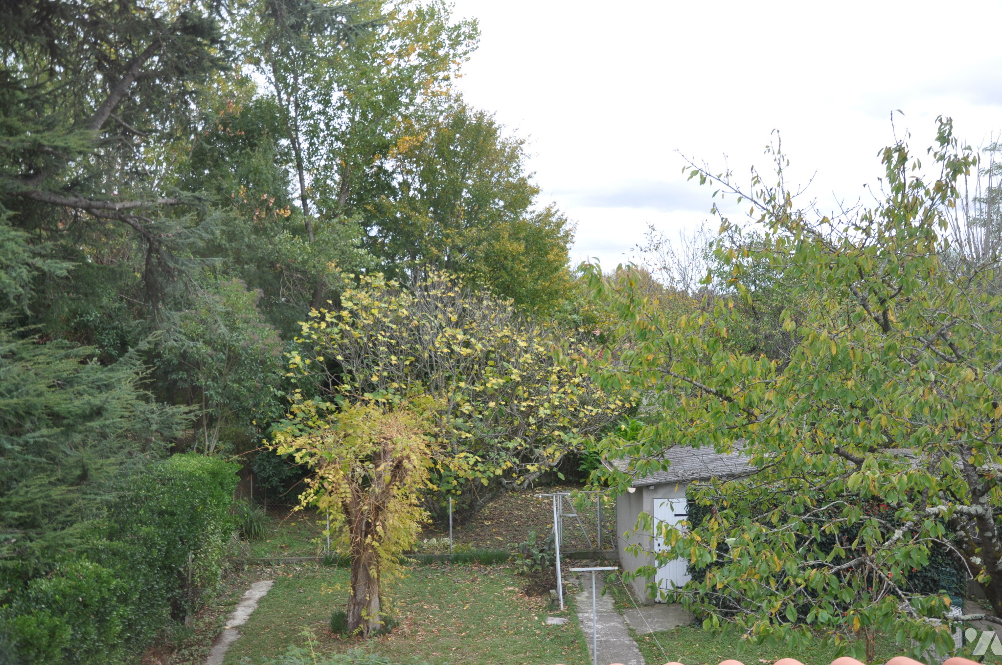 VENTE maison-QUINT FONSEGRIVES (31)
