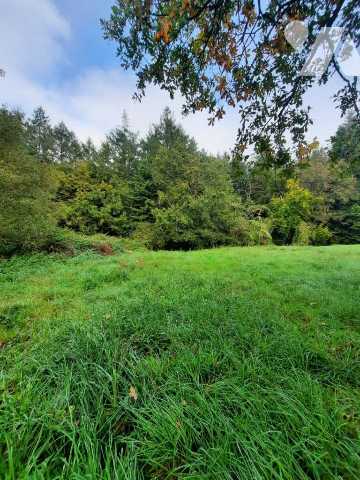 Vente - Terrain - MAURE DE BRETAGNE - 798 m² - 3223