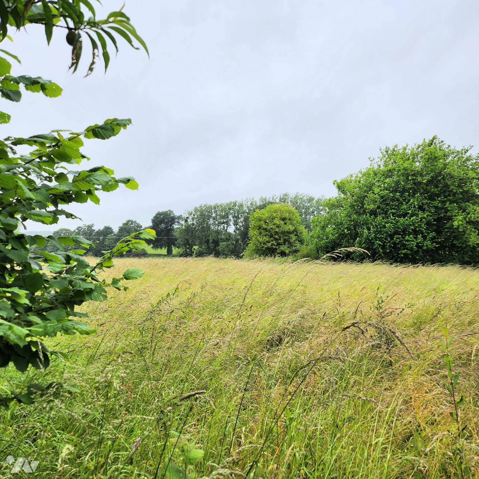VENTE maison-ETRELLES (35)