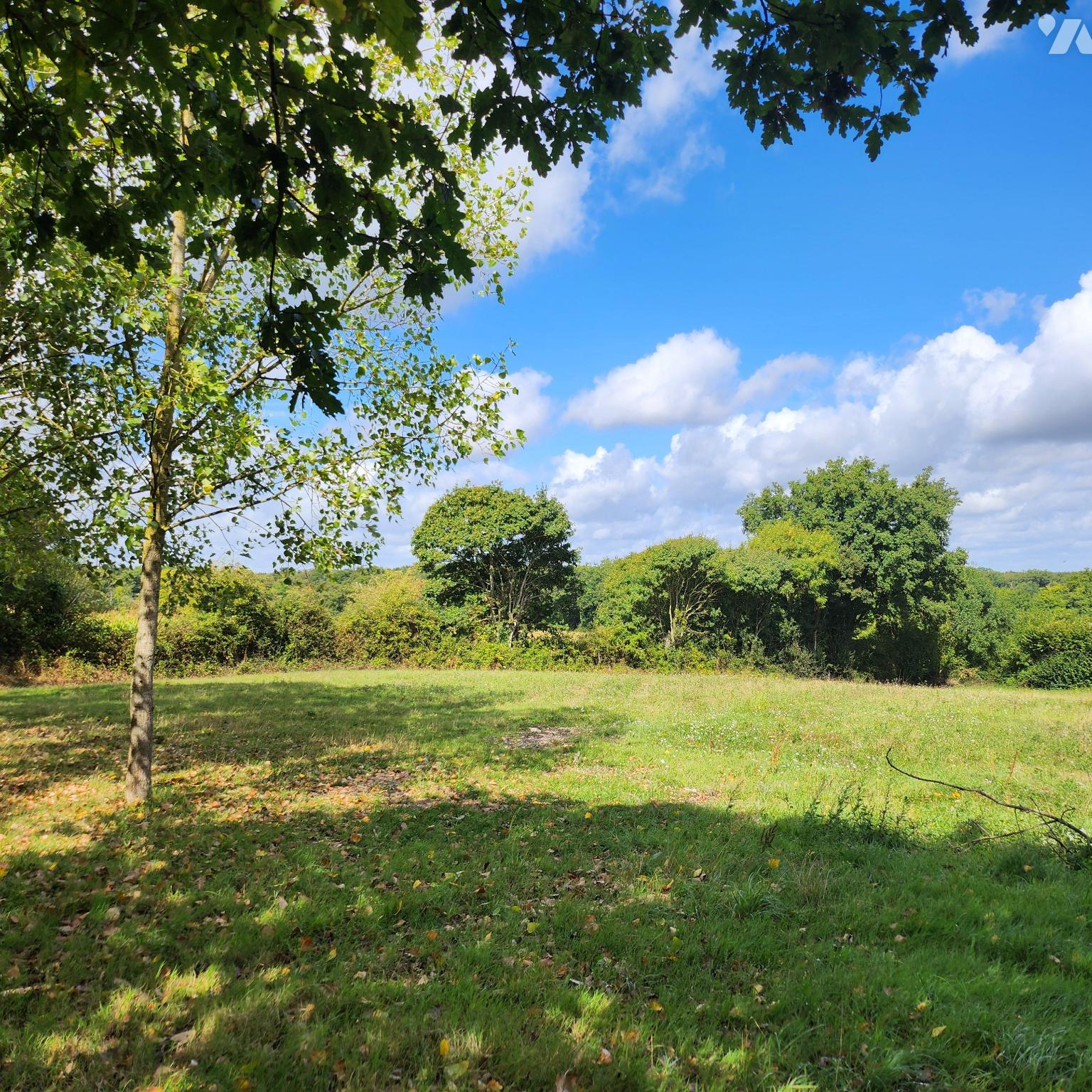 VENTE maison-RUFFIGNE (44)