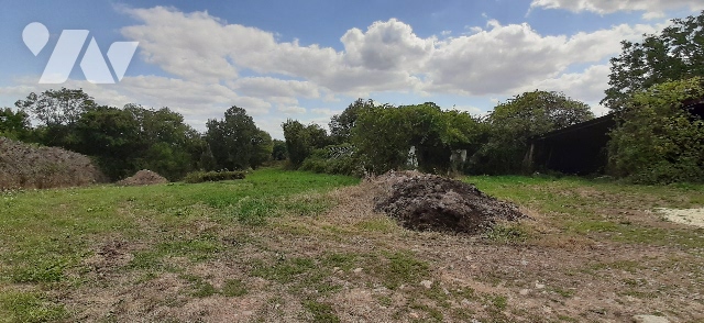 TER 366715m²