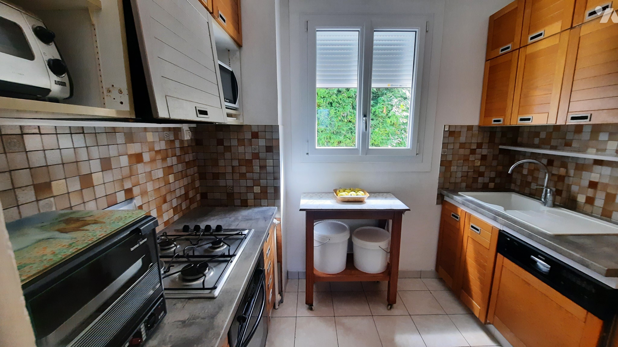 VENTE maison-LEVROUX (36)