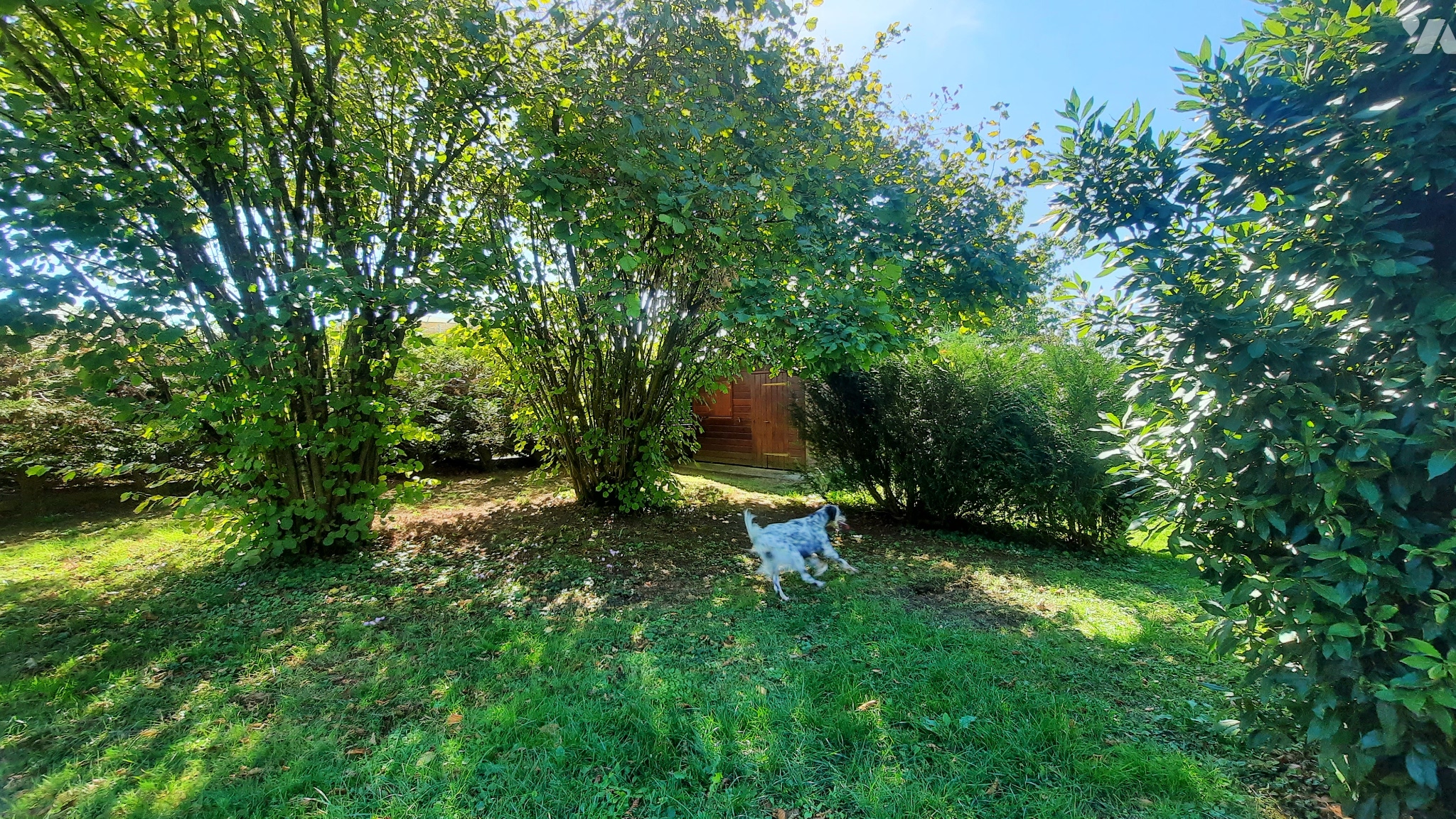VENTE maison-LEVROUX (36)