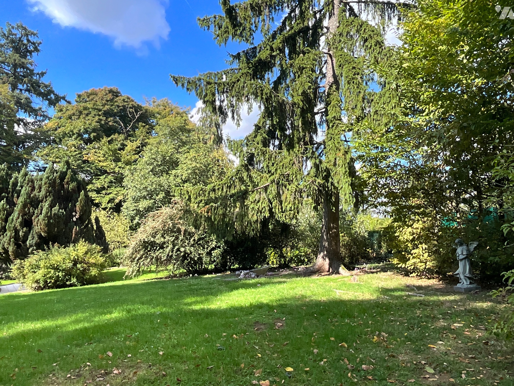 VENTE maison-CHATEAU RENAULT (37)