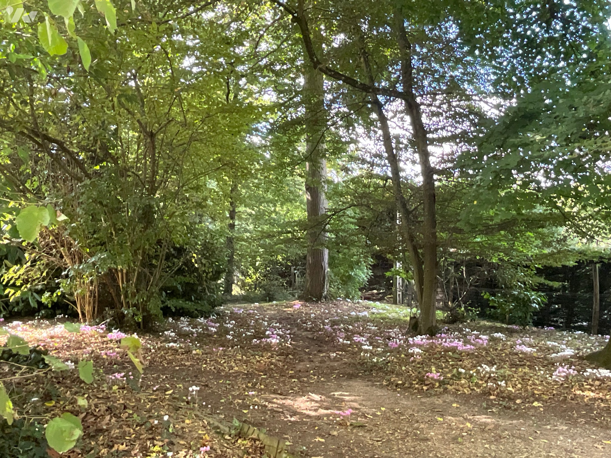 VENTE maison-CHATEAU RENAULT (37)