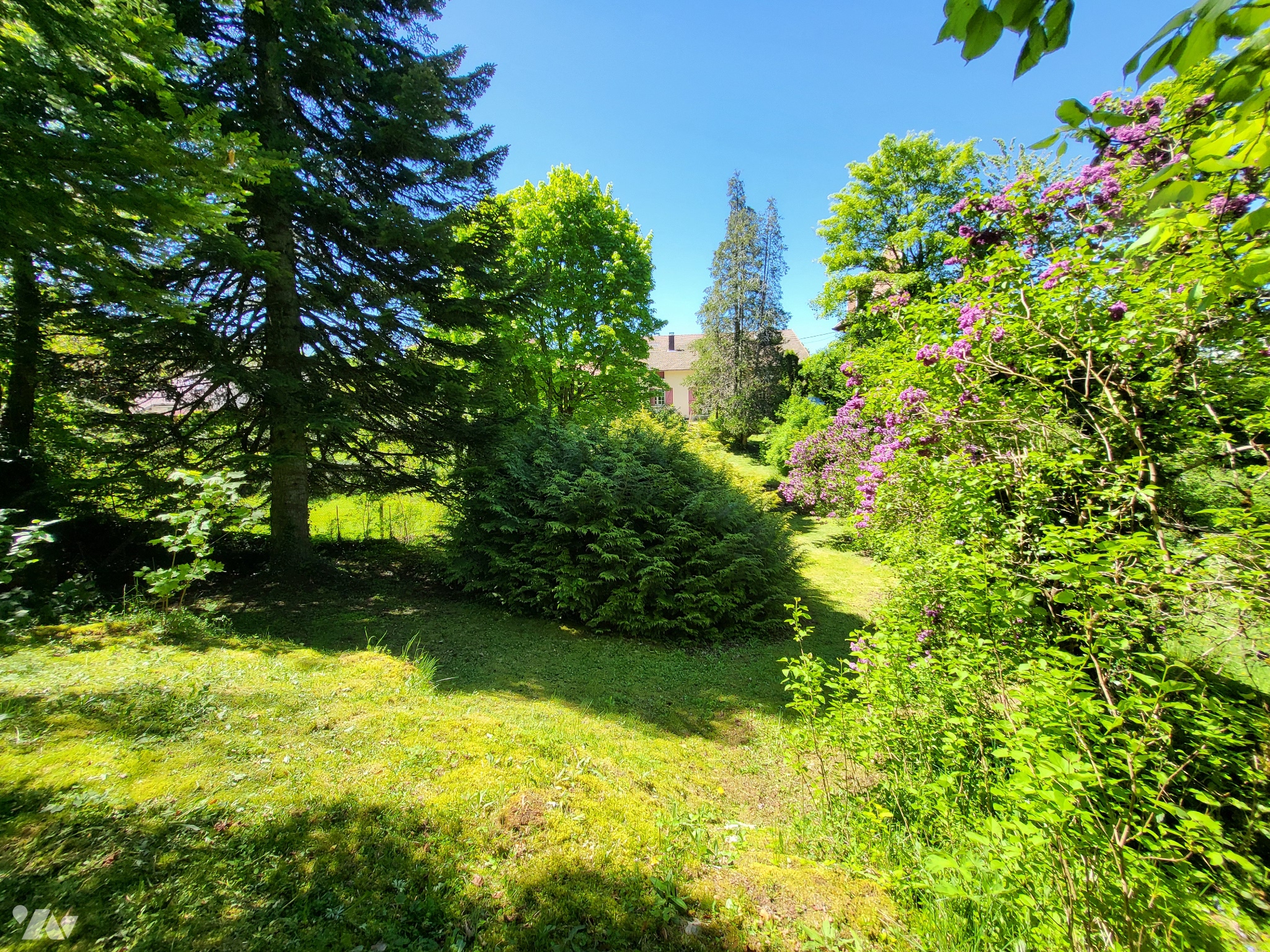 VENTE maison-CHATELNEUF (39)
