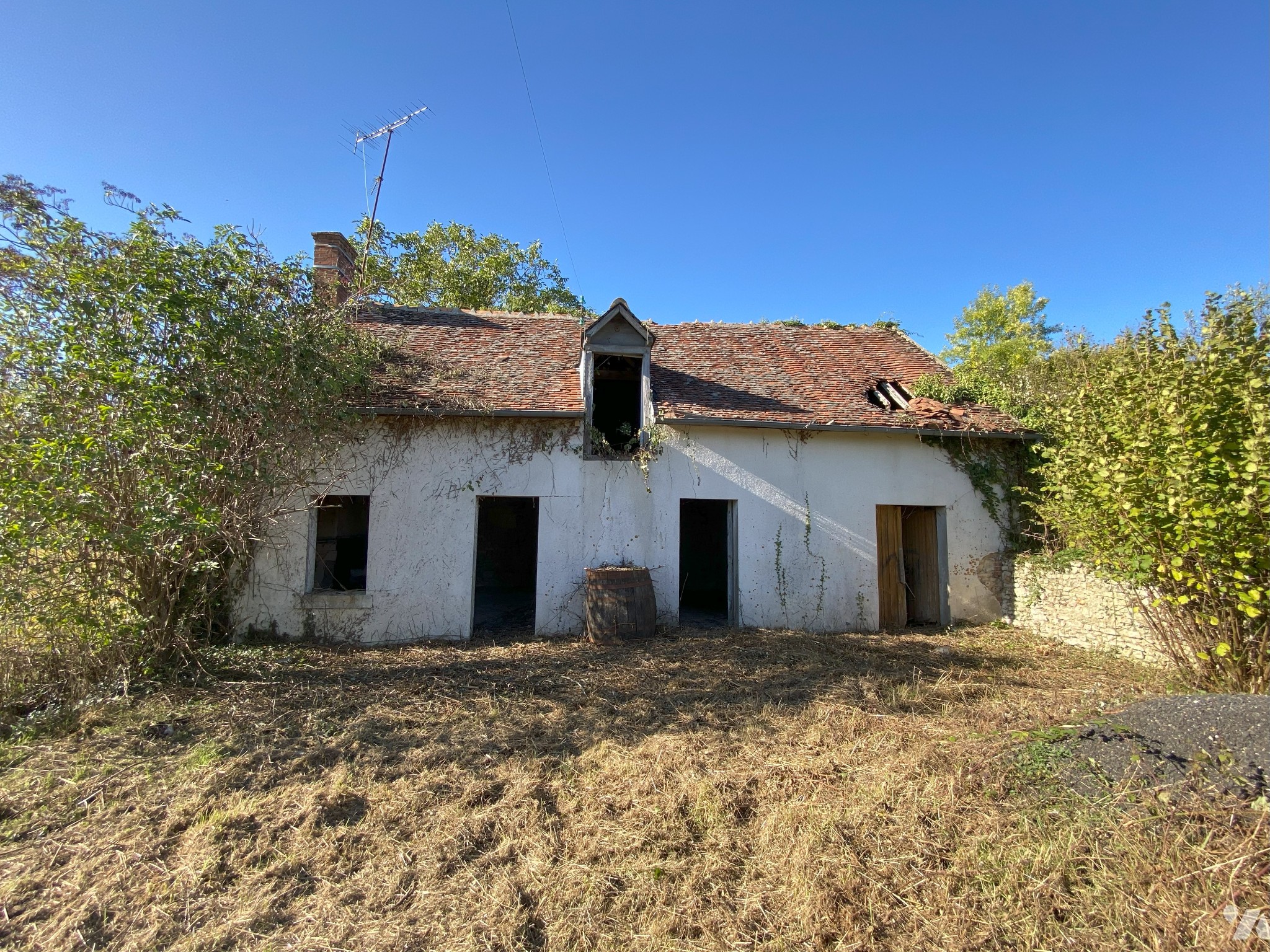 VENTE maison-SELLES SUR CHER (41)
