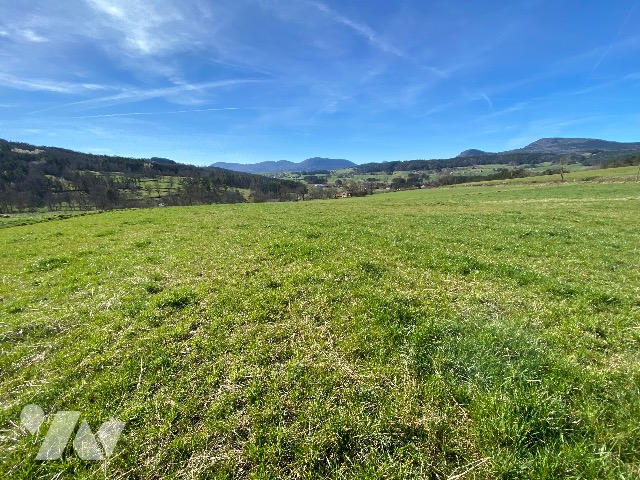 Terrain 1620 m² · à Retournac · 1 620 m² · 50 000 €