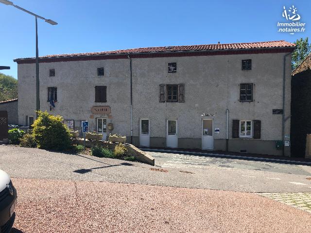 Vente Notariale Interactive - Immeuble - Pavezin - 300.00m² - Ref : 18/MA