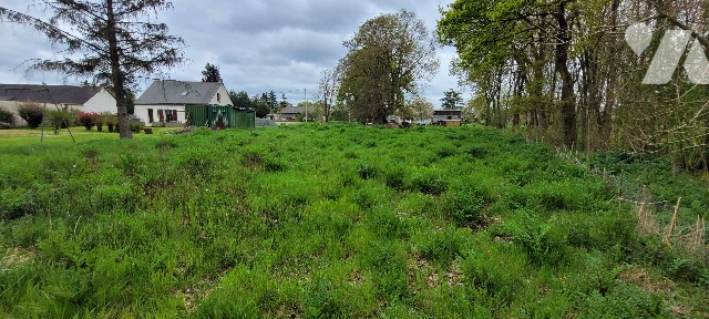 Terrain — Massérac