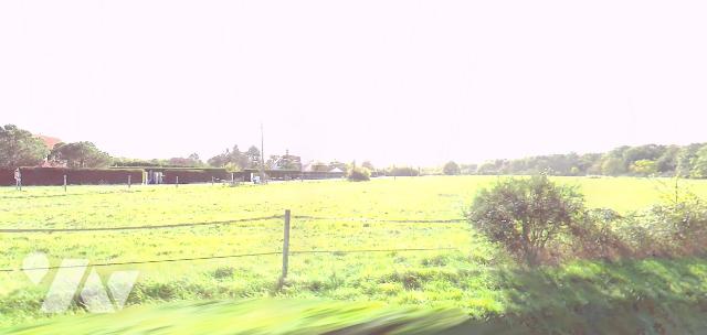 Vente - Terrain - OUZOUER SUR LOIRE - 1 270 m² - 2022-14-06