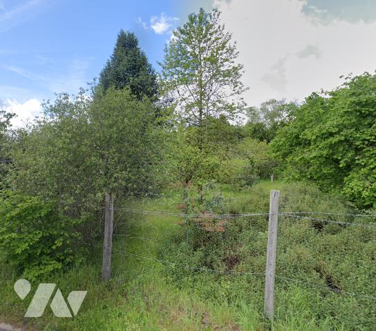 Vente - Terrain - LES BORDES - 1 635 m² - 2024-01.01