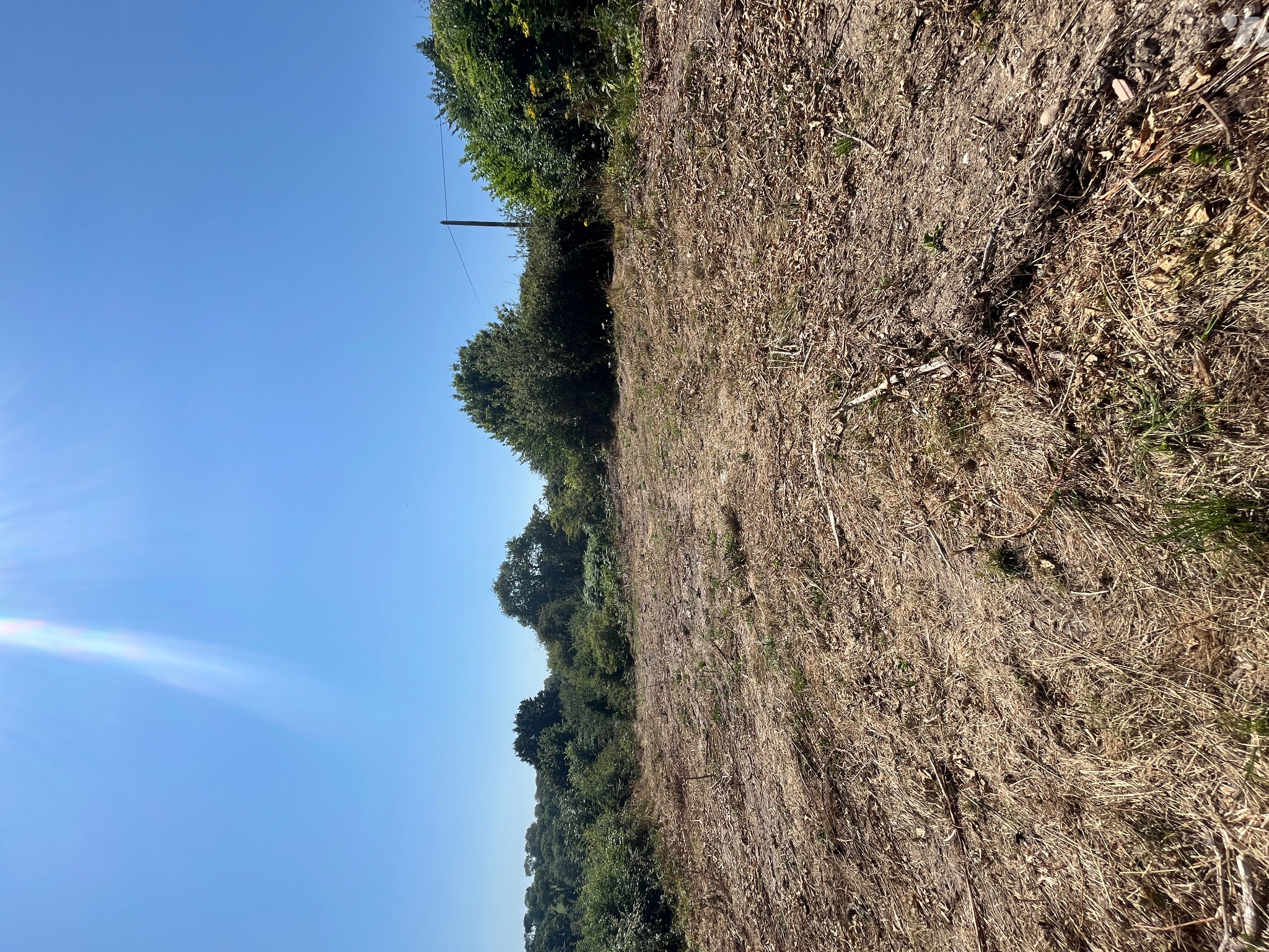 Terrain 887 m² · à Cherbourg-en-Cotentin · 887 m² · 80 000 €