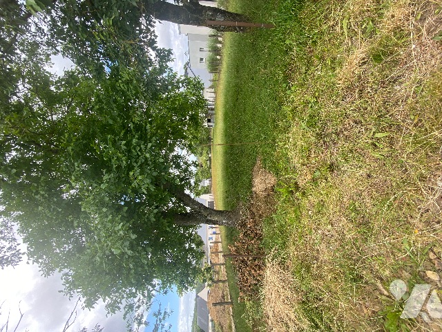 Vente - Terrain - ST PIERRE LA COUR - 1 029 m² - SPLC1