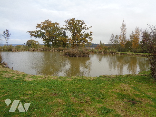 Terrain 4500 m² · à Saint-Cyr-en-Pail · 4 500 m² · 35 000 €