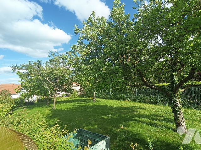 Terrain — Ville-en-Vermois