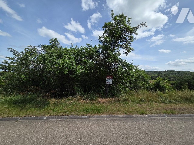 Terrain — Choloy-Ménillot