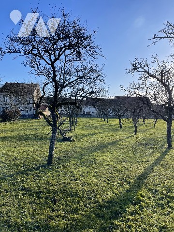 Vente - Terrain - VIGNEULLES LES HATTONCHATEL - 3 608 m² - 2024-00248