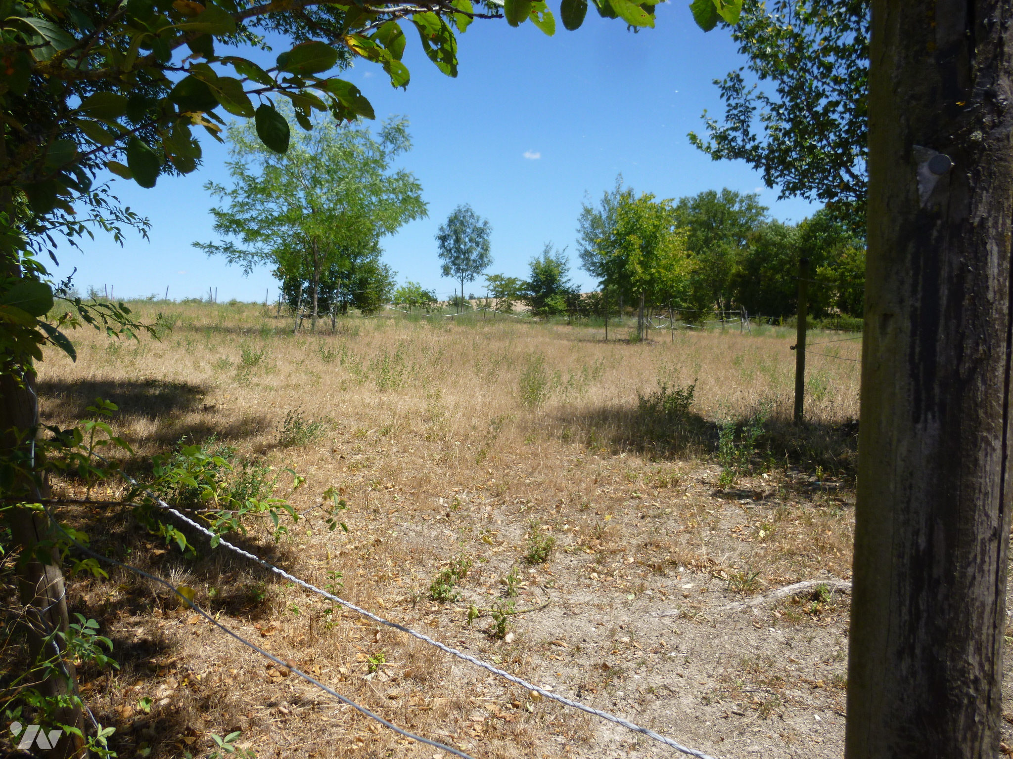 Terrain — Saint-Loup