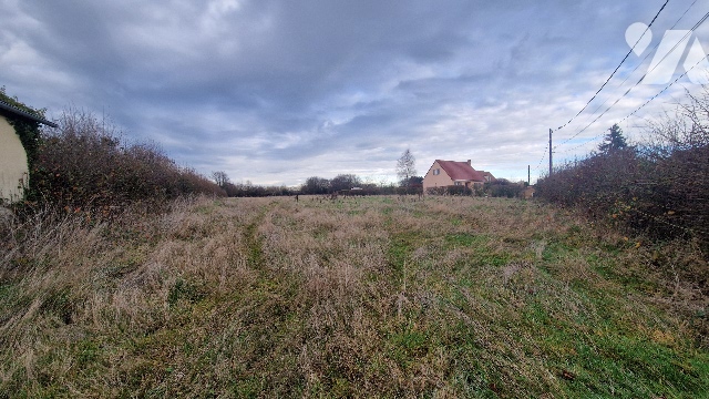Terrain — Moliens