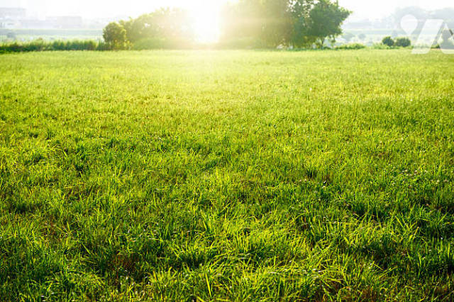 Terrain 700 m² · à Rue-Saint-Pierre · 700 m² · 70 000 €